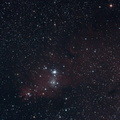 644 Amas ouvert NGC 2264 et nébuleuse du cône