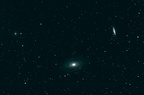 M 81, M 82, NGC 3077 : Galaxies dans Uma