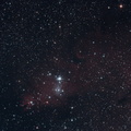 NGC 2264 : Nébuleuse du cône et amas arbre de noël