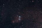 NGC 2264 : Nébuleuse du cône et amas arbre de noël