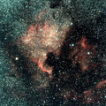 NGC7000 (nébuleuse North America-Cygnus)