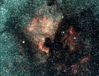 NGC7000 (nébuleuse North America-Cygnus)