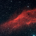 NGC 1499 : Nébuleuse "Californie" à émission dans Persée