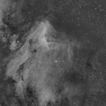 IC 5070 nébuleuse du Pélican(cygne)