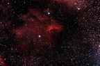 IC 5070 : Nébuleuse du Pélican dans le Cygne