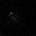 NGC457, amas de la chouette
