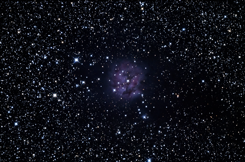 IC 5146 Le cocon