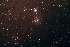 NGC2264, l'amas du sapin de Noël (Monoceros)