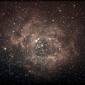 NGC 2237 Rosette