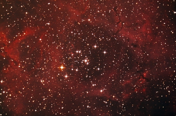 NGC2237 et NGC2244 "La Rosette"