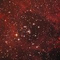 NGC2237 et NGC2244 "La Rosette"