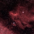 IC 5070 : Le Pélican. Nébuleuse en émission dans la constellation du Cygne