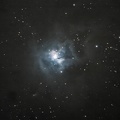    NGC 7023  Iris