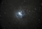    NGC 7023  Iris