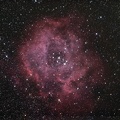 NGC 2244 La Rosette