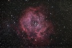 NGC 2244 La Rosette