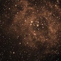  Rosette   NGC 2237