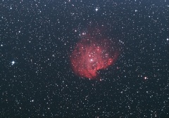 NGC2174, la "Tête de Singe" dans Orion