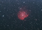 NGC2174, la "Tête de Singe" dans Orion