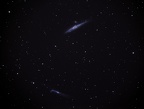 NGC 4631 La baleine