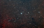 IC 1396 & Elephant's Trunk nebula  