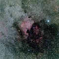 La région de NGC 7000 (Cygne)