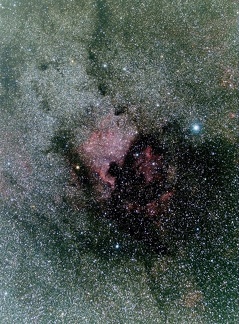 La région de NGC 7000 (Cygne)