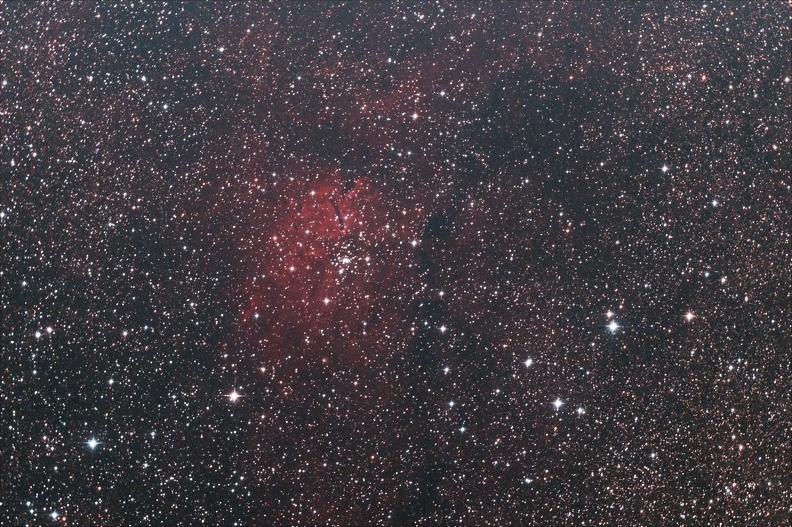 NGC6823, amas ouvert dans sa nébuleuse (Vulpecula)