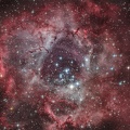 Nébuleuse de la rosette - NGC 2237