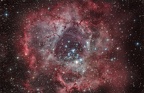 Nébuleuse de la rosette - NGC 2237