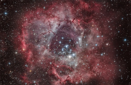 Nébuleuse de la rosette - NGC 2237