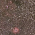 2019-02-02-Rosette et sapin de Noel-9x120s-MV-108mm-2 images.jpg