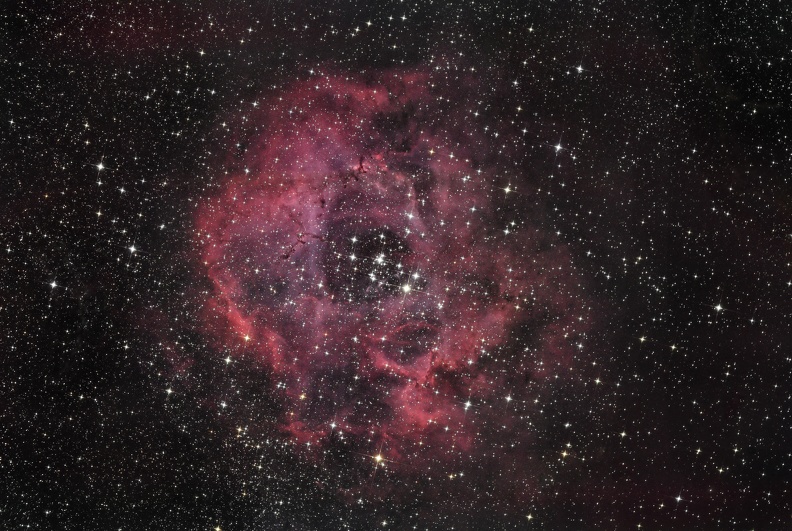 NGC 2244 La Rosette 24 février 2019.jpg