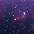 NGC2264 et son complexe de nébuleuses