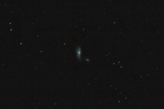 Galaxie du Cocon - NGC 4490