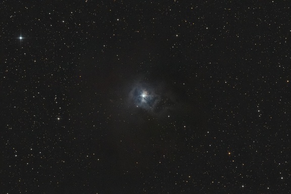Nébuleuse de l'Iris - NGC 7023