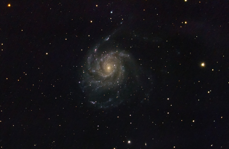 M101 Galaxie du Moulinet-.jpg