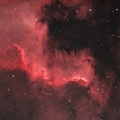 NGC 7000 - Nébuleuse de l'Amérique du Nord