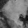 NGC7000 en Ha