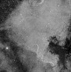 NGC7000 en Ha