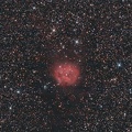 IC 5146 Nébuleuse du Cocon 