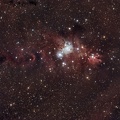 Région de NGC 2264 Nébuleuse du Cône