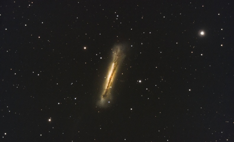 NGC 3628 Galaxie du Hamburger.jpg
