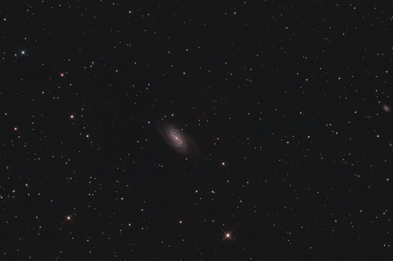 NGC2903 2s240320_2.jpg