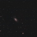 NGC2903 2s240320_2.jpg