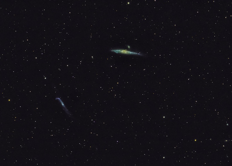 NGC4631 et NGC 4656.jpg