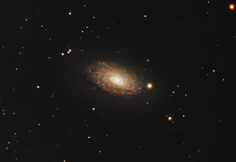 M63 Galaxie du Tournesol 2.jpg