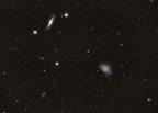 NGC4335