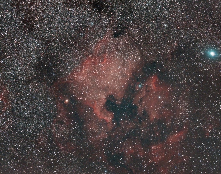 2020-09-13-NGC7000-39x60s-128mm recadré-2.jpg