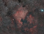 NGC7000, nébuleuse North America